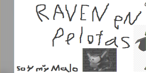 Cover image for Raven En Pelotas