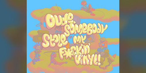 Cover image for Dude, Somebody Stole my Vinyl!
