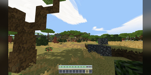 Cover image for Primitive