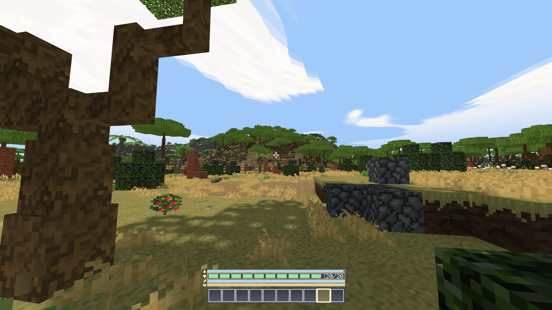 Cover image for Primitive