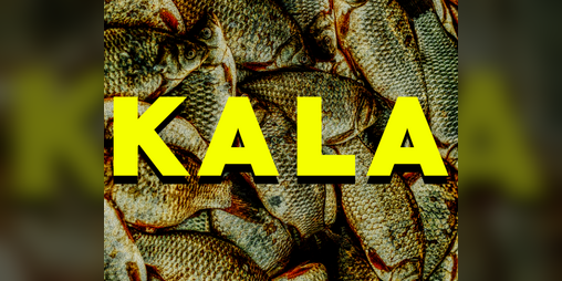 Cover image for KALA Demo