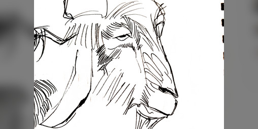 Cover image for goat game