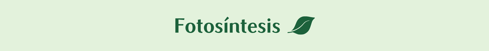 Fotosíntesis