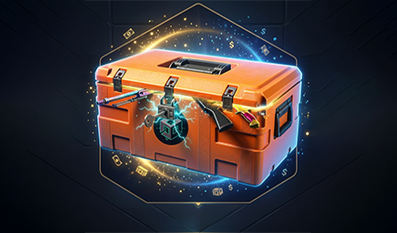 Case Simulator: CS2