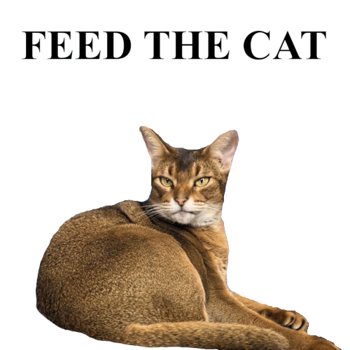 FEED THE CAT