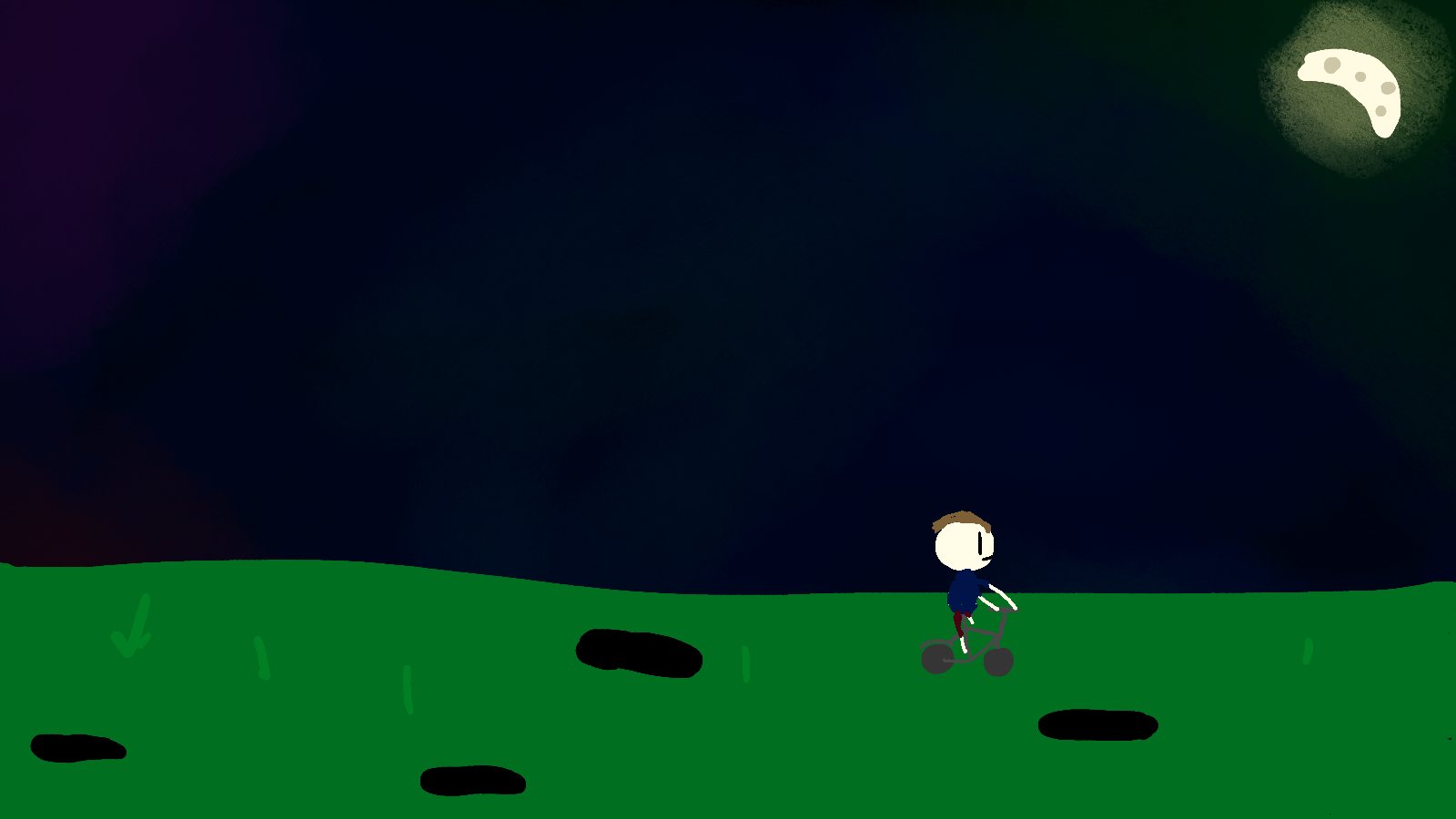 Cover image for The Holey Plains