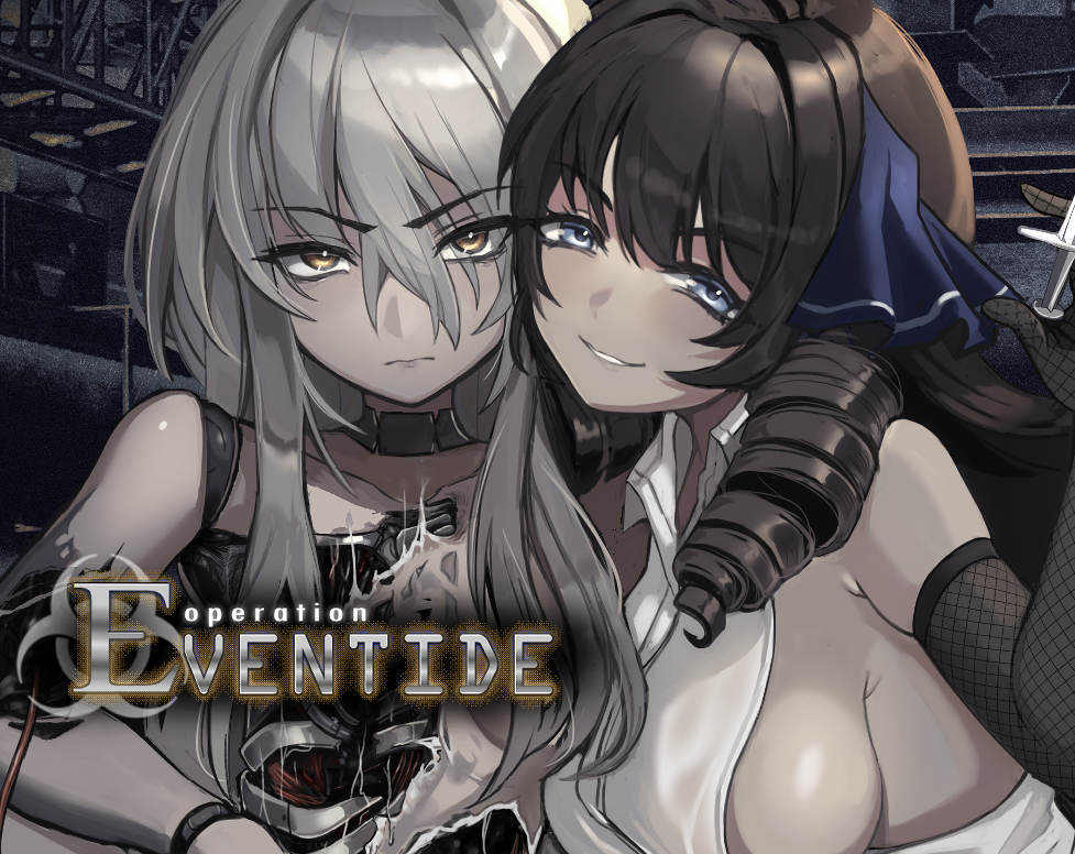Cover image for Operation Eventide