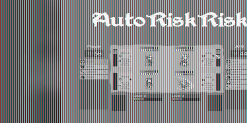 Cover image for Auto Risk Risk - Concept