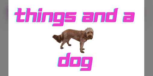 Cover image for Things and a dog.