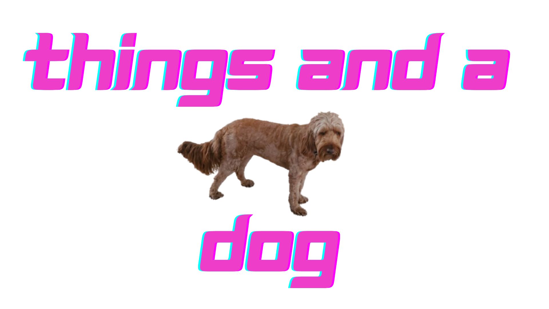 Cover image for Things and a dog.