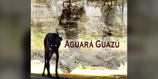 Cover image for Aguará Guazú: El llamado