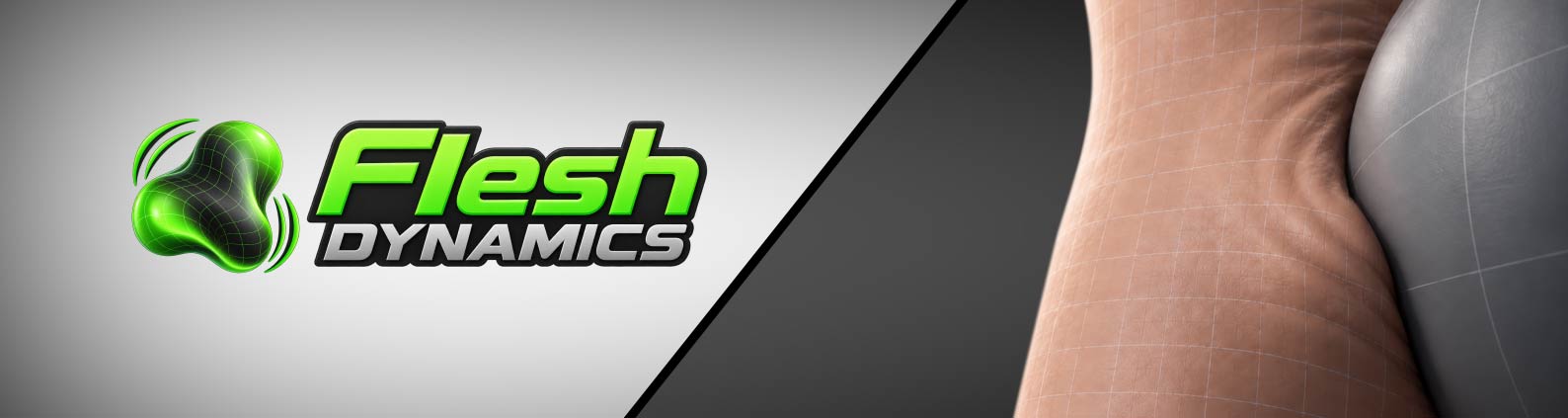 Flesh Dynamics