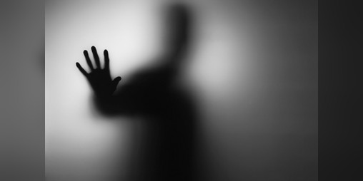 Cover image for Shadows' Realm