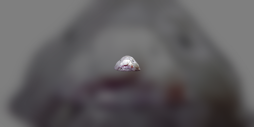 Cover image for Fi(fish)sh