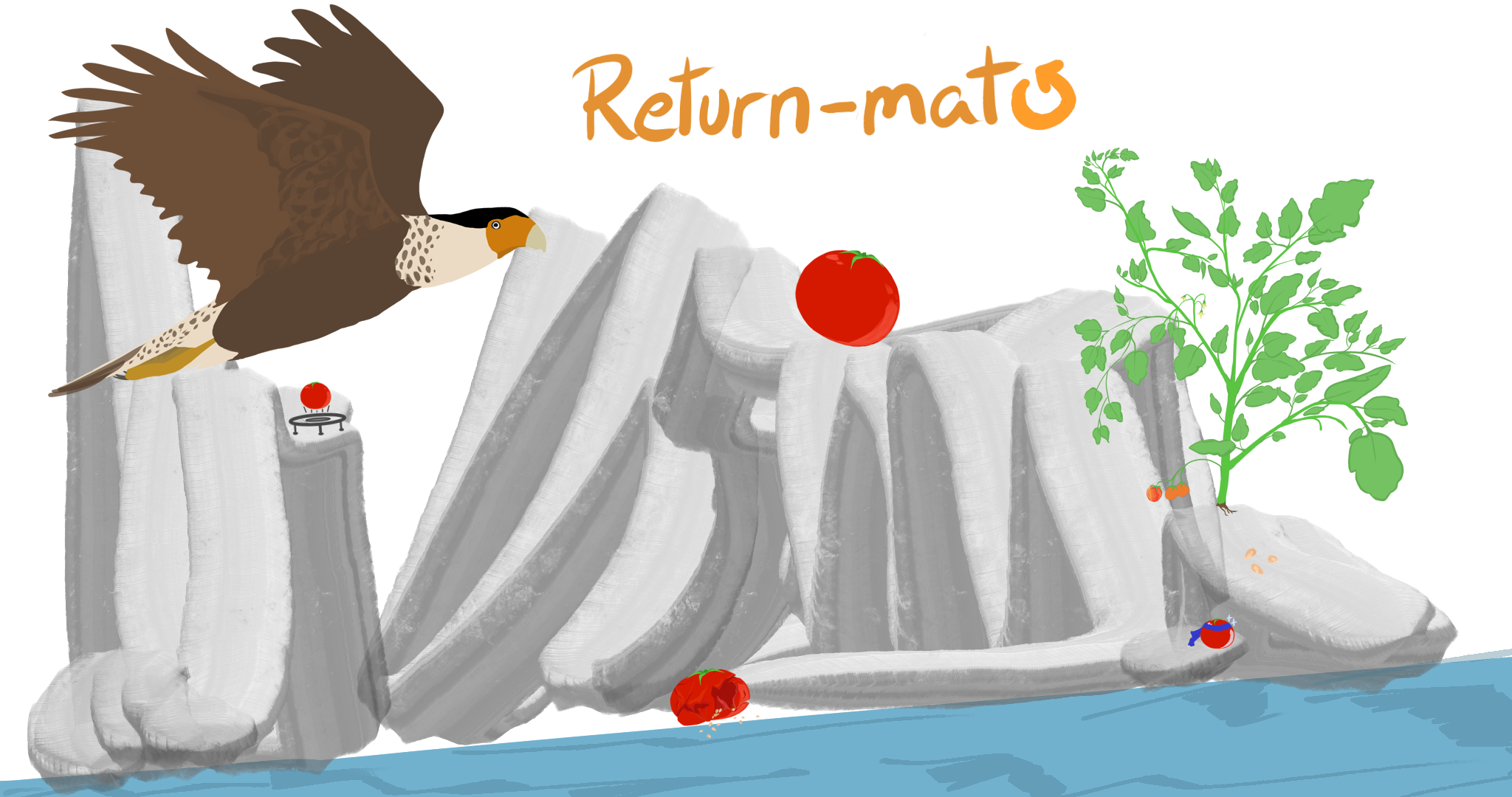 RETURN-MATO