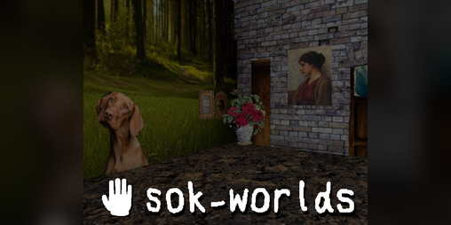 Cover image for sok-worlds