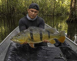 Titans of Nature: Living Waters