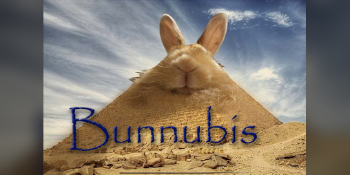 Cover image for Bunnubis