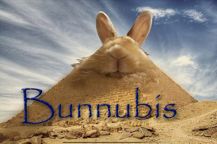 Cover image for Bunnubis