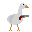 Cover image for Goose in Chicken Territory