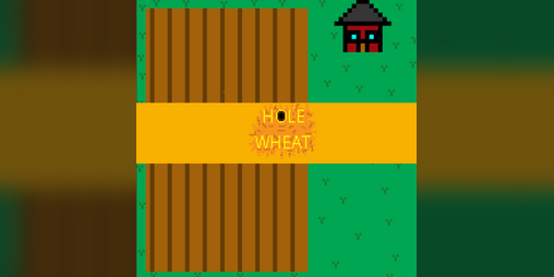 Cover image for Hole Wheat