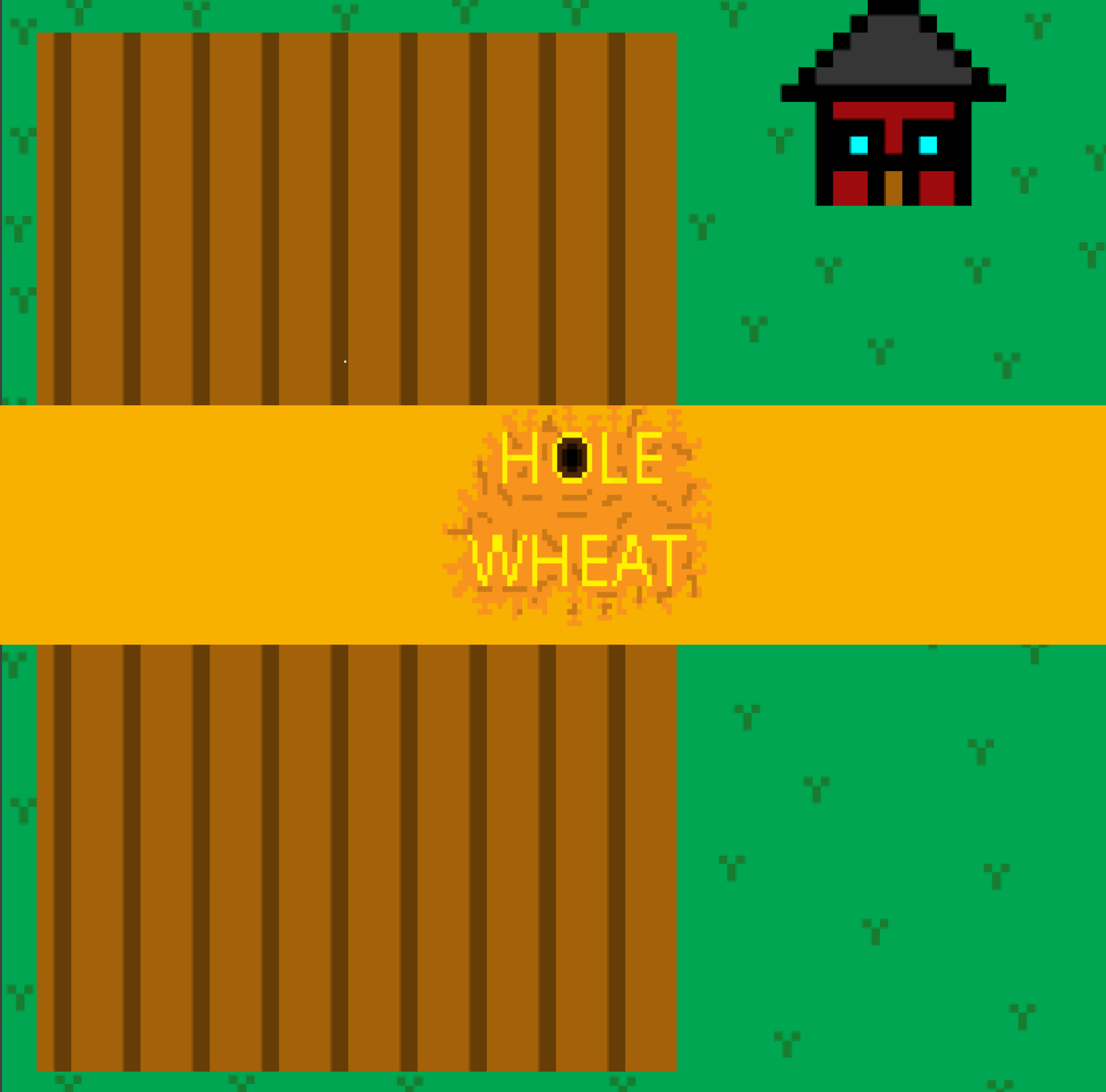 Cover image for Hole Wheat