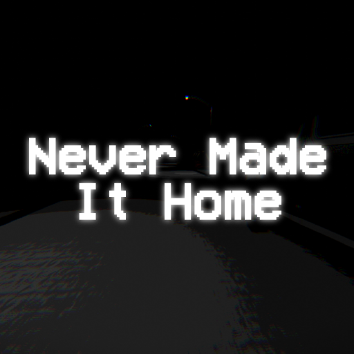 Cover image for Never Made It Home