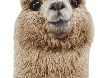 Alpacalaga game screenshot