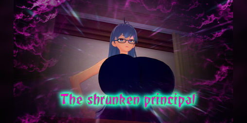 Cover image for The shrunken principal
