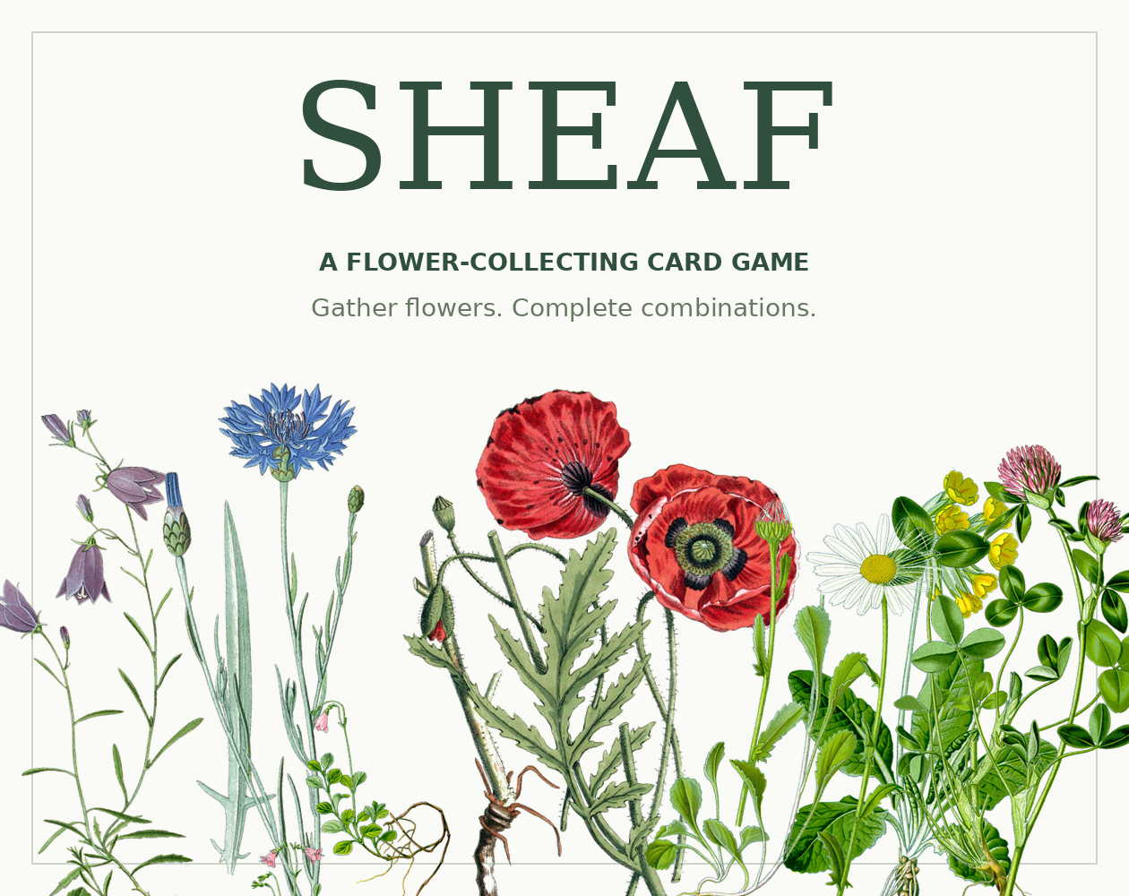 Cover image for Sheaf