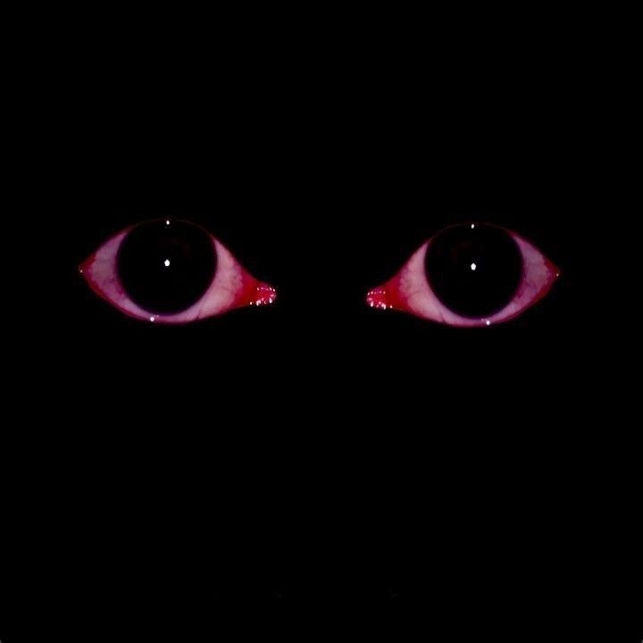 shitmusic