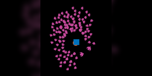 Cover image for Boids