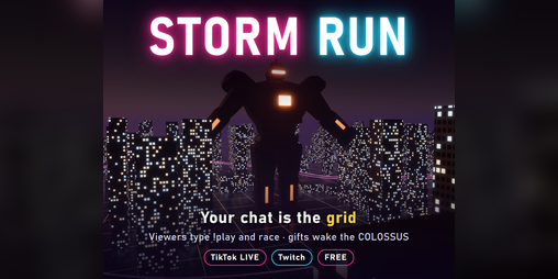 Cover image for STORM RUN