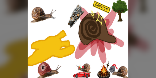 Cover image for Quest for the Holy Shell