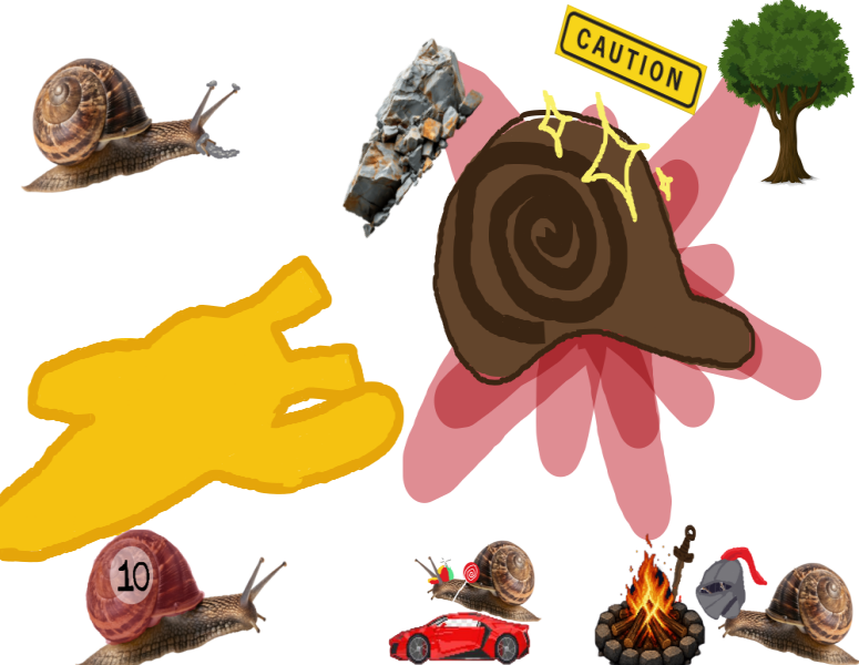 Cover image for Quest for the Holy Shell