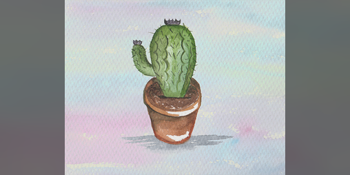 Cover image for How to take care of your cactus