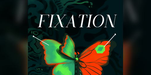 Cover image for Fixation