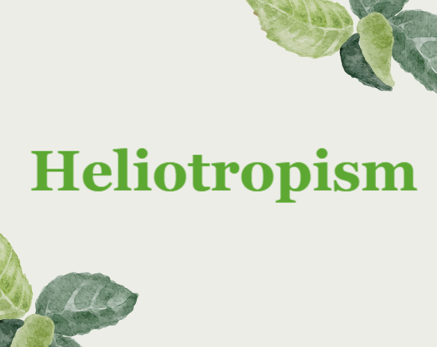Cover image for Heliotropism
