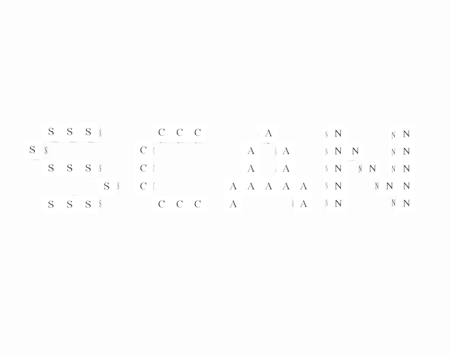 Cover image for SCANNING DUTY