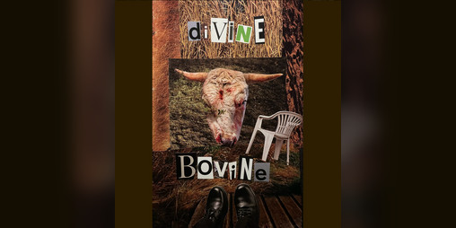 Cover image for divine bovine