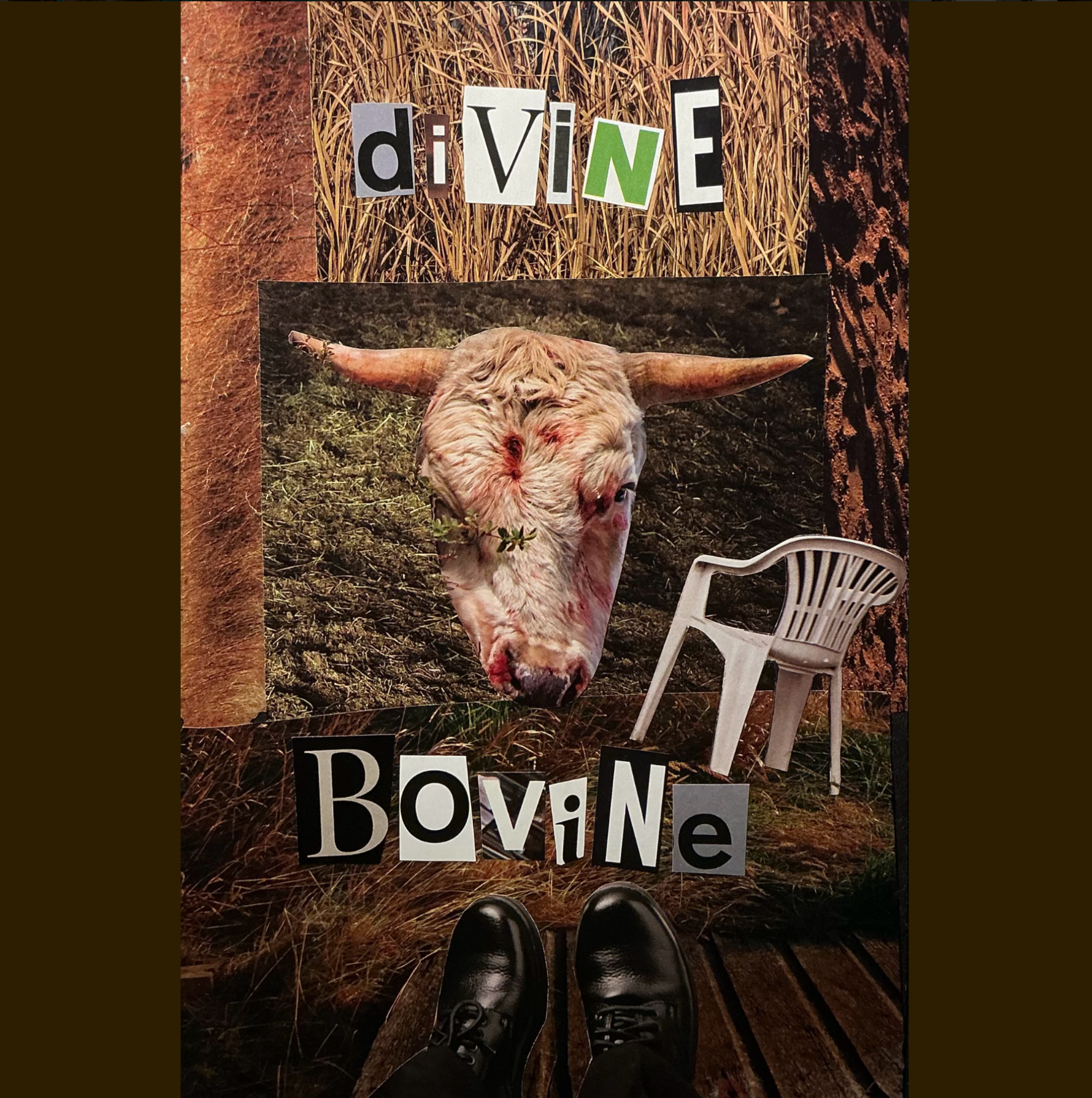 Cover image for divine bovine