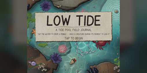 Cover image for Low Tide