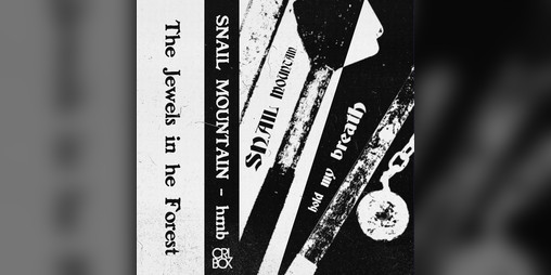 Cover image for Snail Mountain - Hold my Breath