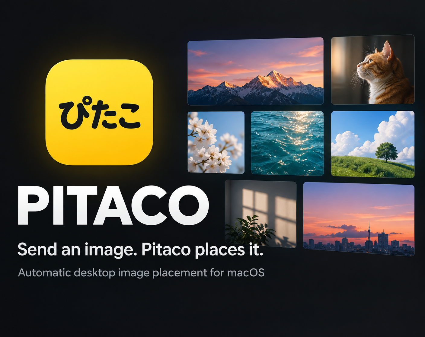 Cover image for Pitaco