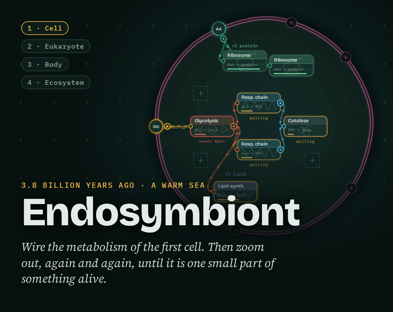 Cover image for Endosymbiont