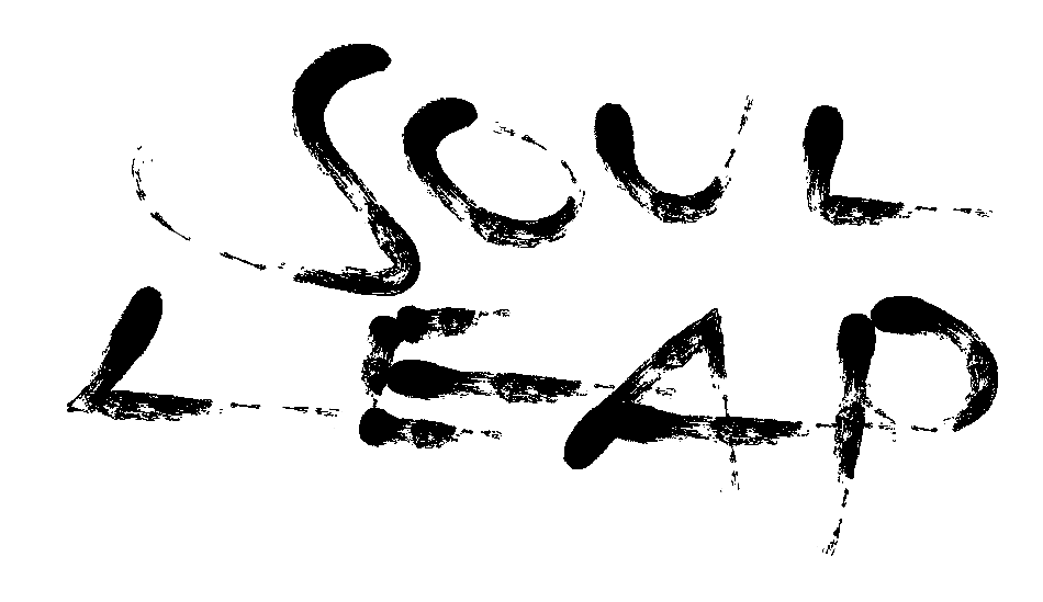 Cover image for Soul Leap
