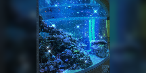 Cover image for Aquatic Module — Impressions Composing Jam : Ambience #4