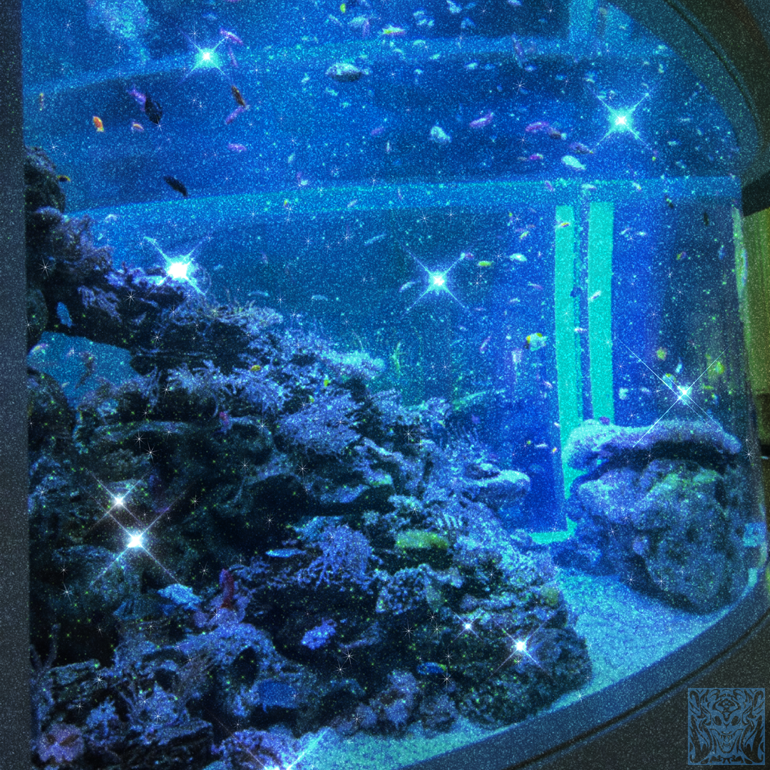 Cover image for Aquatic Module — Impressions Composing Jam : Ambience #4
