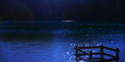 Cover image for foggy lake