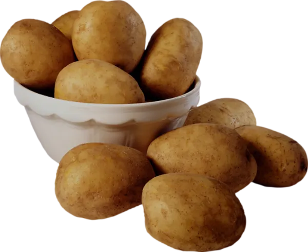 ONLY VEGETABLES beta
